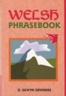 Image for Welsh Phrasebook