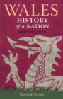 Image for Wales  : history of a nation