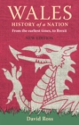 Image for Wales : History of a Nation