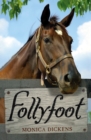 Image for Follyfoot