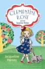 Image for Clementine Rose and the surprise visitor