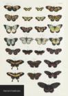 Image for Natural History Museum Butterflies Notebook