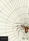 Image for Natural History Museum: The Spider Notebook