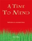 Image for Time to Mend