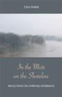 Image for In the mists on the shoreline: reflections on spiritual experience
