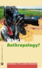 Image for What is anthropology?