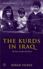 Image for The Kurds in Iraq: the past, present and future
