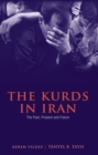 Image for The Kurds in Iran