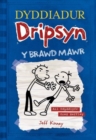 Image for Dyddiadur Dripsyn: 2. y Brawd Mawr