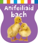 Image for Anifeiliaid bach