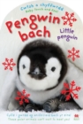 Image for Cwtsh a Chyffwrdd: Pengwin Bach / Baby Touch and Feel: Little Penguin