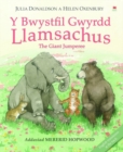 Image for Y bwystfil gwyrdd llamsachus