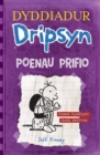 Image for Dyddiadur Dripsyn: Poenau Prifio