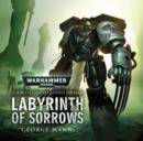 Image for Labyrinth of sorrows