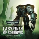 Image for Labyrinth of Sarrows