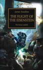 Image for The flight of the Eisenstein  : the heresy unfolds