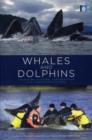 Image for Whales and dolphins  : cognition, culture, conservation and human perceptions