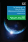 Image for The development of university-based entrepreneurship ecosystems  : global practices