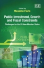 Image for Public investment, growth and fiscal constraints  : challenges for the EU new member states