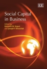 Image for Social Capital in Business
