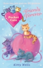 Image for Pocket Cats: Friends Forever