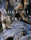 Image for Ancient trees: trees that live for 1000 years