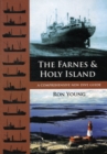 Image for The Farnes and Holy Island  : a comprehensive new dive guide