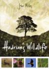 Image for Hadrian&#39;s Wildlife