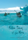Image for Fallen pieces of the moon