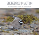 Image for Shorebirds in action  : an introduction to waders and their behaviour