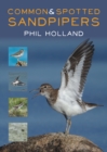 Image for Common and Spotted Sandpipers
