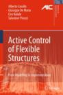 Image for Active Control of Flexible Structures