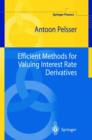 Image for Efficient Methods for Valuing Interest Rate Derivatives