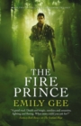 Image for The fire prince