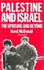 Image for Palestine and Israel : The Uprising and Beyond