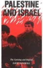 Image for Palestine and Israel  : the uprising and beyond