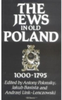 Image for The Jews in Old Poland, 1000-1795