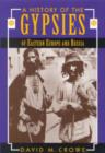 Image for A History of the Gypsies of Eastern Europe and Russia