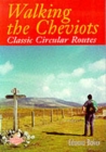 Image for Walking the Cheviots  : classic circular routes