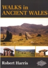 Image for Walks in ancient Wales