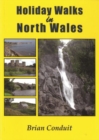 Image for Holiday Walks in North Wales