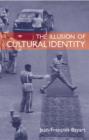Image for The fictions of cultural identity