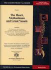 Image for The Heart, Mediastinum and Great Vessels