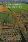Image for Corbridge Roman Site
