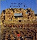Image for Wroxeter Roman City