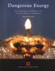 Image for Dangerous energy  : the archaeology of gunpowder and military explosives manufacture