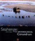 Image for Seahenge  : an archaeological conundrum