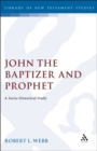 Image for John the Baptizer and Prophet : A Socio-historical Study