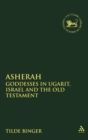 Image for What&#39;s in a name?  : the goddess Asherah in the texts from Ugarit, Israel and the Old Testament
