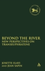 Image for Beyond the River : New Perspectives on Transeuphratene